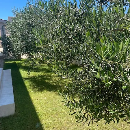 Апартаменты Perla Luxury Водице